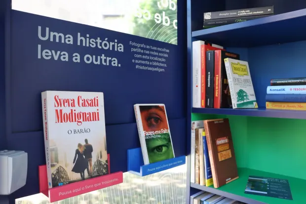 Cabine Oliveira Azemeis interior